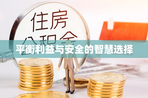 施秉平衡利益与安全的智慧选择