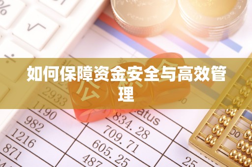 施秉如何保障资金安全与高效管理