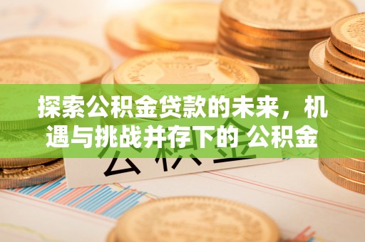 施秉探索公积金贷款的未来，机遇与挑战并存下的 公积金贷款风险防控