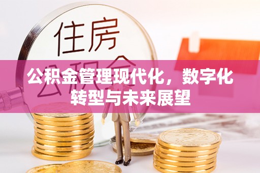 施秉公积金管理现代化，数字化转型与未来展望