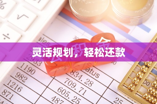 施秉灵活规划，轻松还款