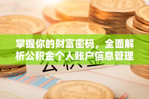 施秉掌握你的财富密码，全面解析公积金个人账户信息管理与优化