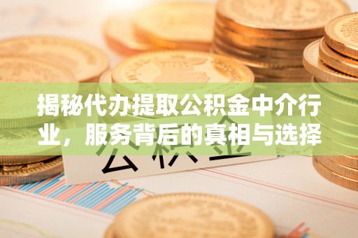 施秉揭秘代办提取公积金中介行业，服务背后的真相与选择指南