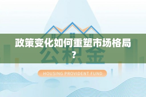 施秉政策变化如何重塑市场格局？