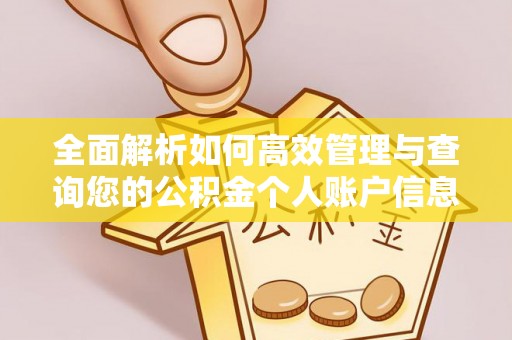 施秉全面解析如何高效管理与查询您的公积金个人账户信息