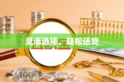 施秉灵活选择，轻松还贷