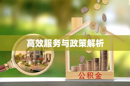 施秉高效服务与政策解析