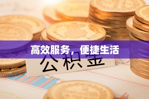 施秉高效服务，便捷生活