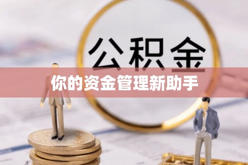 施秉你的资金管理新助手