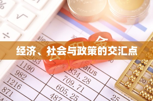 施秉经济、社会与政策的交汇点