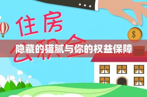 施秉隐藏的猫腻与你的权益保障