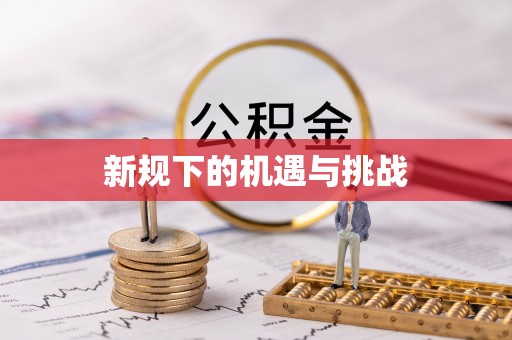 施秉新规下的机遇与挑战