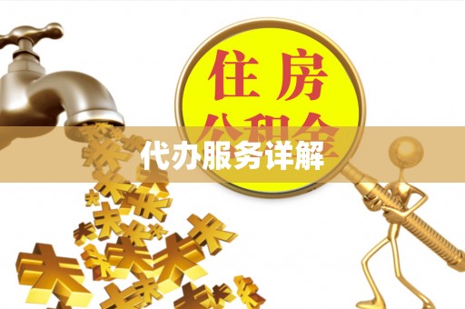 施秉代办服务详解