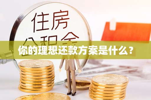 施秉你的理想还款方案是什么？