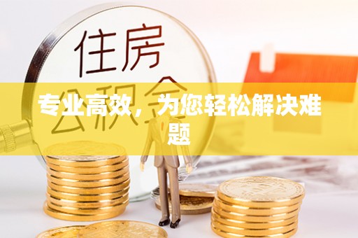 施秉专业高效，为您轻松解决难题