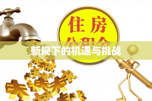 施秉新规下的机遇与挑战