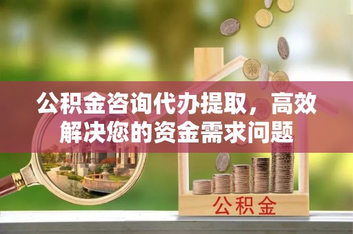 施秉公积金咨询代办提取，高效解决您的资金需求问题