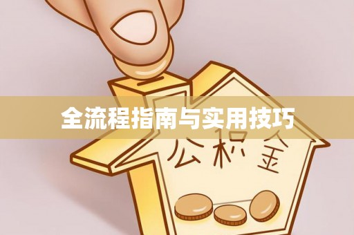 施秉全流程指南与实用技巧