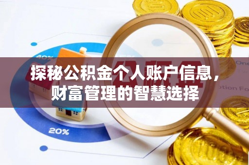 施秉探秘公积金个人账户信息，财富管理的智慧选择