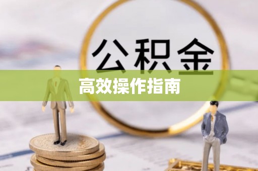 施秉高效操作指南