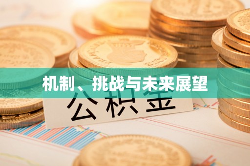 施秉机制、挑战与未来展望