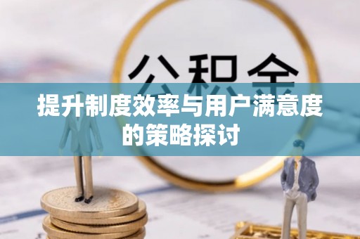 施秉提升制度效率与用户满意度的策略探讨