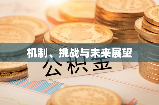 施秉机制、挑战与未来展望